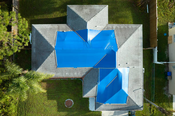 Best Steel Roofing  in Willards, MD
